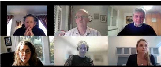 The Evolving Role of Online Innovation Workshops via One Nucleus
